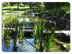 Japanese Gardens - Fast Facts